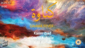 Gnawa Fever - Karim Ziad, David Aubaile, Adil Amimi