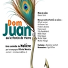 affiche Dom Juan ou le festin de pierre