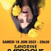 affiche Sandrine Sarroche - One Woman show