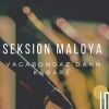affiche SEKSION MALOYA + Vagabondaz dann’ kabaré