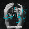 affiche ÂWÂT, nouvel album de Shadi Fathi & Bijan Chemirani / Concert de présentation