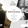 affiche Folk & Friends #10 - Steve Wallis + Spotlights / RELEASE PARTY