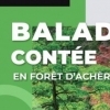 affiche Balade contée : La forêt : un patrimoine à défendre - Journées du Patrimoine 2022