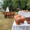 affiche Découvrez la poterie dans un ensemble muséal rare et authentique - Journées du Patrimoine 2022