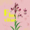affiche Visite guidée de l’exposition Flos Vitae, Histoire naturelle des fleurs - Journées du Patrimoine 2022