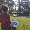 affiche Portraits d'arbres - Jardin du Trocadéro, domaine national de Saint-Cloud - Journées du Patrimoine 2022