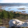 affiche Balade découverte de la forêt de Castillon - Journées du Patrimoine 2022