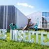affiche Visite de la Maison des insectes - Journées du Patrimoine 2022