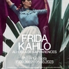 affiche Frida Kahlo, au-delà des apparences 