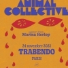 affiche ANIMAL COLLECTIVE
