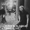 affiche Auks in Alaska + Triinu