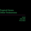 affiche Froid.e #3 = Céline Technorama + Tropical Horses