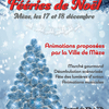 affiche Coccodrillo Blues en concert pour les Fééries de Noël de la ville de Mèze