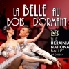 affiche THE UKRAINIAN NATIONAL BALLET OF ODESSA