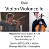 affiche Concert de duos violon et violoncelle