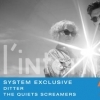 affiche System Exclusive (US, Castle Face Rds) + ditter + The Quiet Screamers