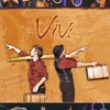 affiche Vivi - Mystérieuse Valise - Cie Vibration Visuelle 