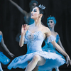 affiche La Belle au Bois Dormant - Grand Ballet de Kiev