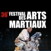 affiche 36ème FESTIVAL DES ARTS MARTIAUX
