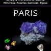 affiche Salon International des Minéraux, Fossiles, Gemmes et Bijoux
