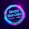 affiche Concert Electric Blue Cats