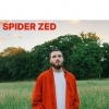 affiche SPIDER ZED