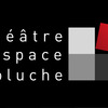 Théâtre Espace Coluche
