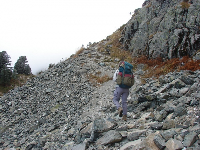 Fiche Métier : comment devenir Accompagnateur de moyenne montagne
